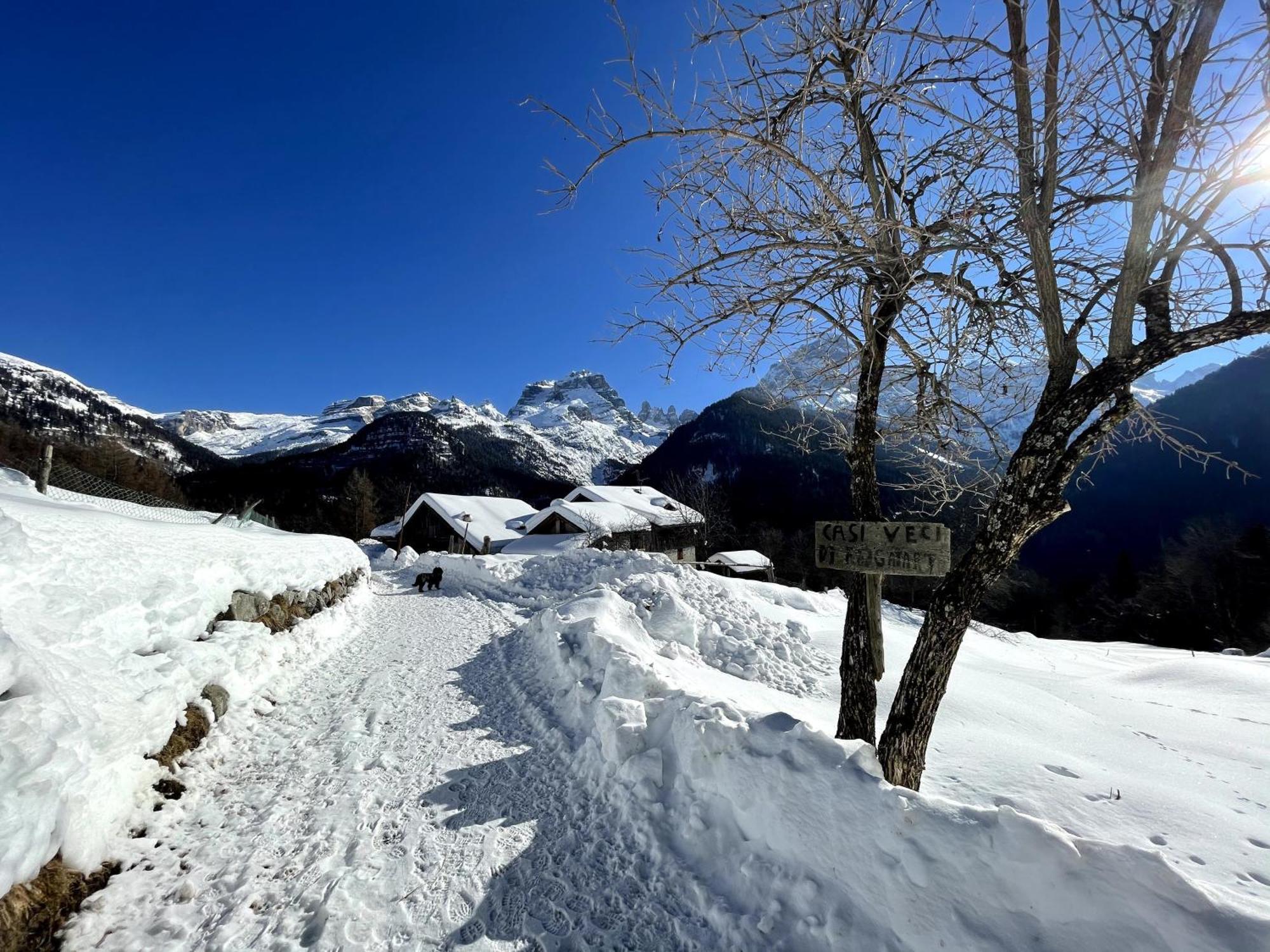 Villa Alpina Campiglio Madonna Kültér fotó