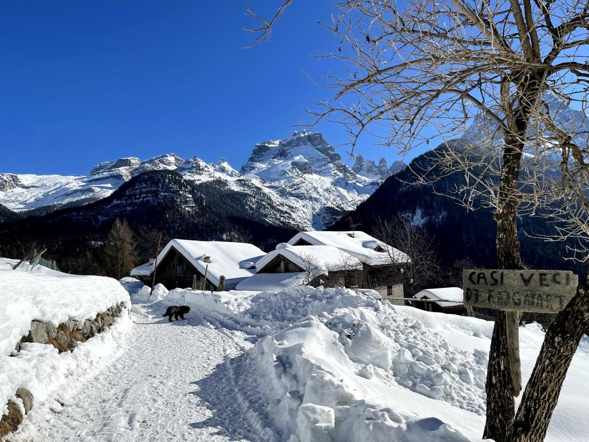 Villa Alpina Campiglio Madonna Kültér fotó