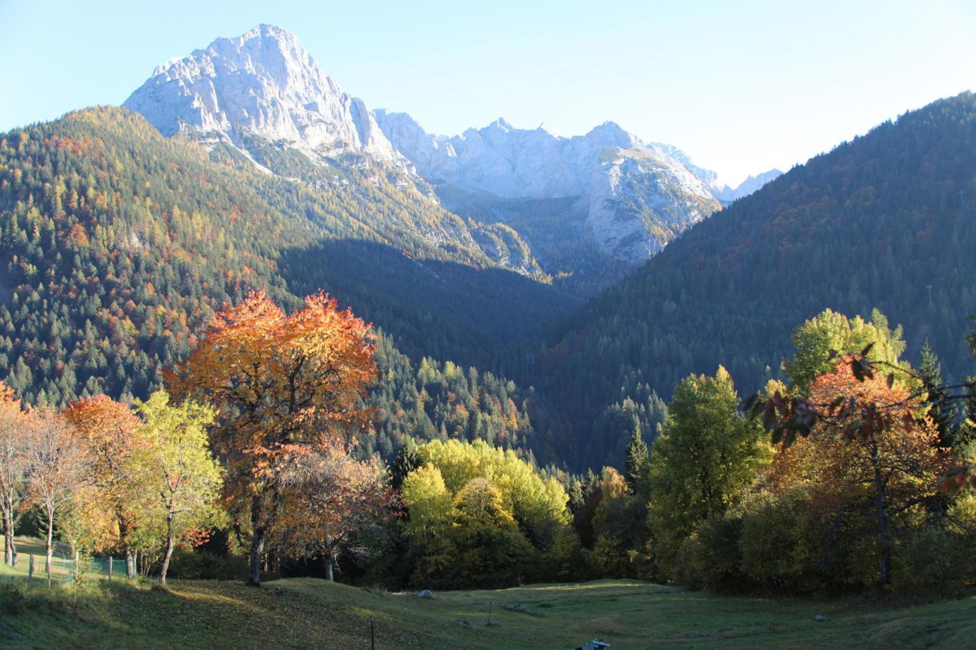 Villa Alpina Campiglio Madonna Kültér fotó