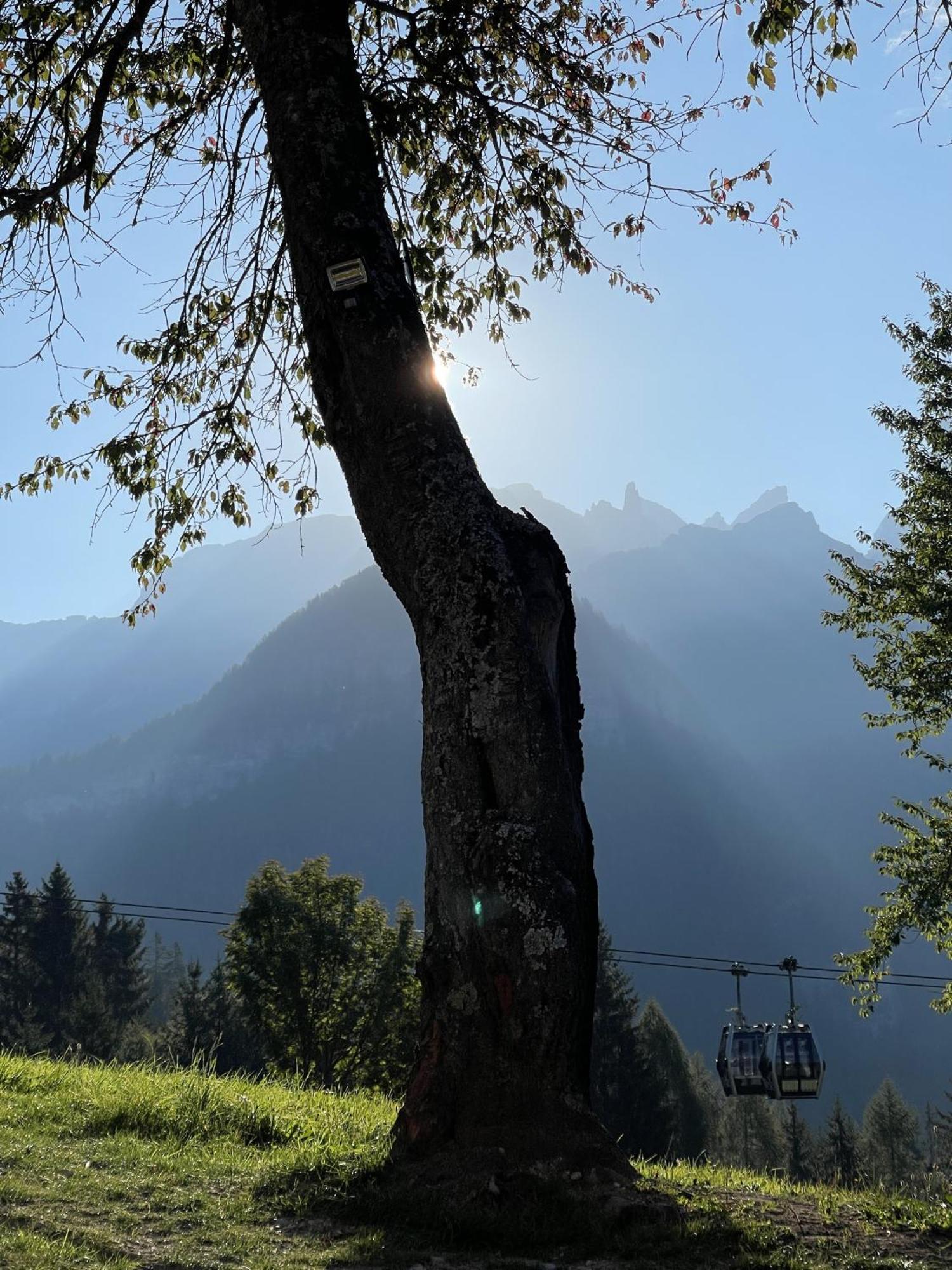 Villa Alpina Campiglio Madonna Kültér fotó