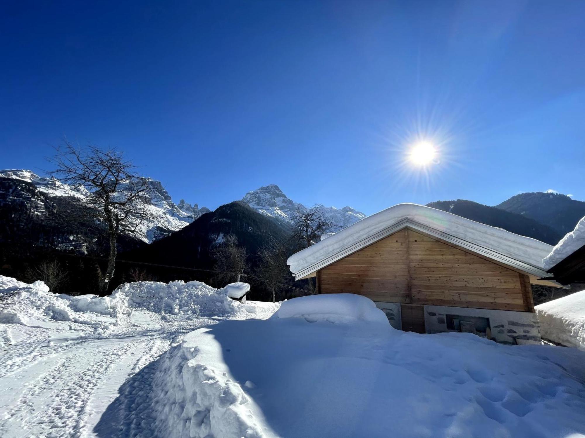 Villa Alpina Campiglio Madonna Kültér fotó