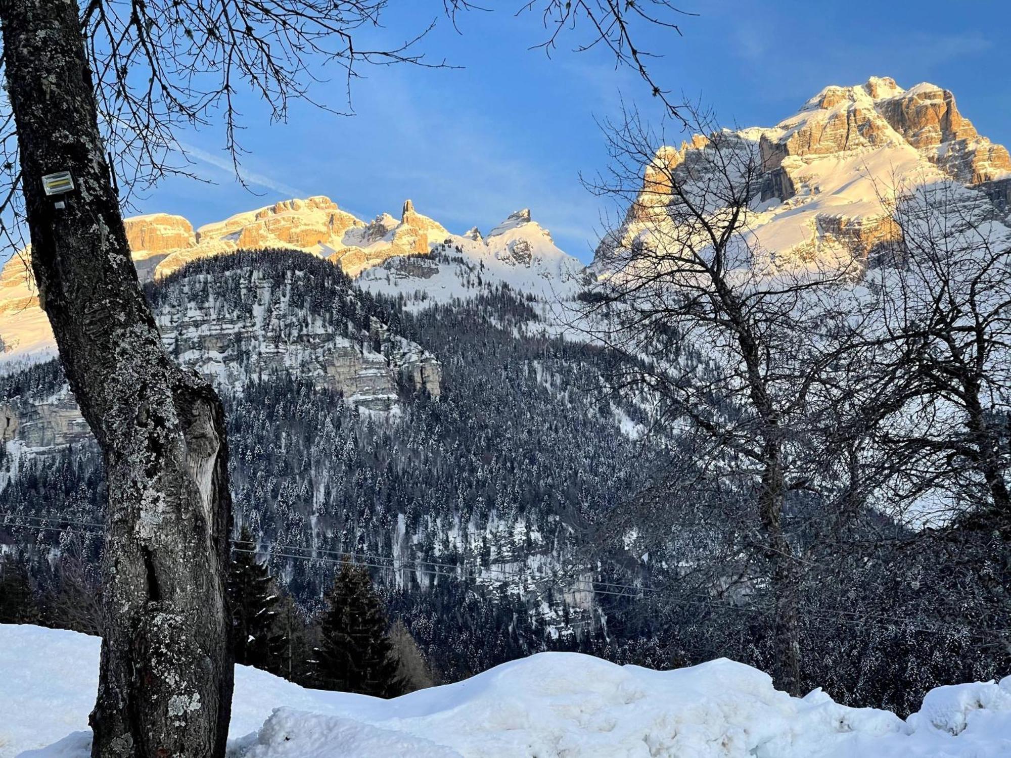 Villa Alpina Campiglio Madonna Kültér fotó