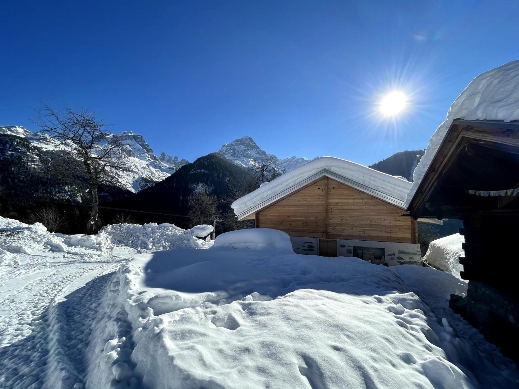 Villa Alpina Campiglio Madonna Kültér fotó